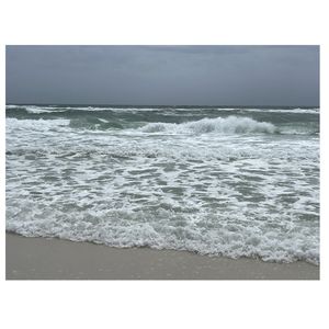 Gulf coast shoreline