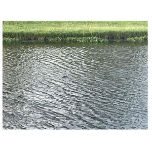 Waterway pollution