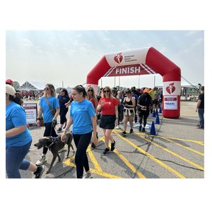 Thousands unite in Rochester to build a community of lifesavers 