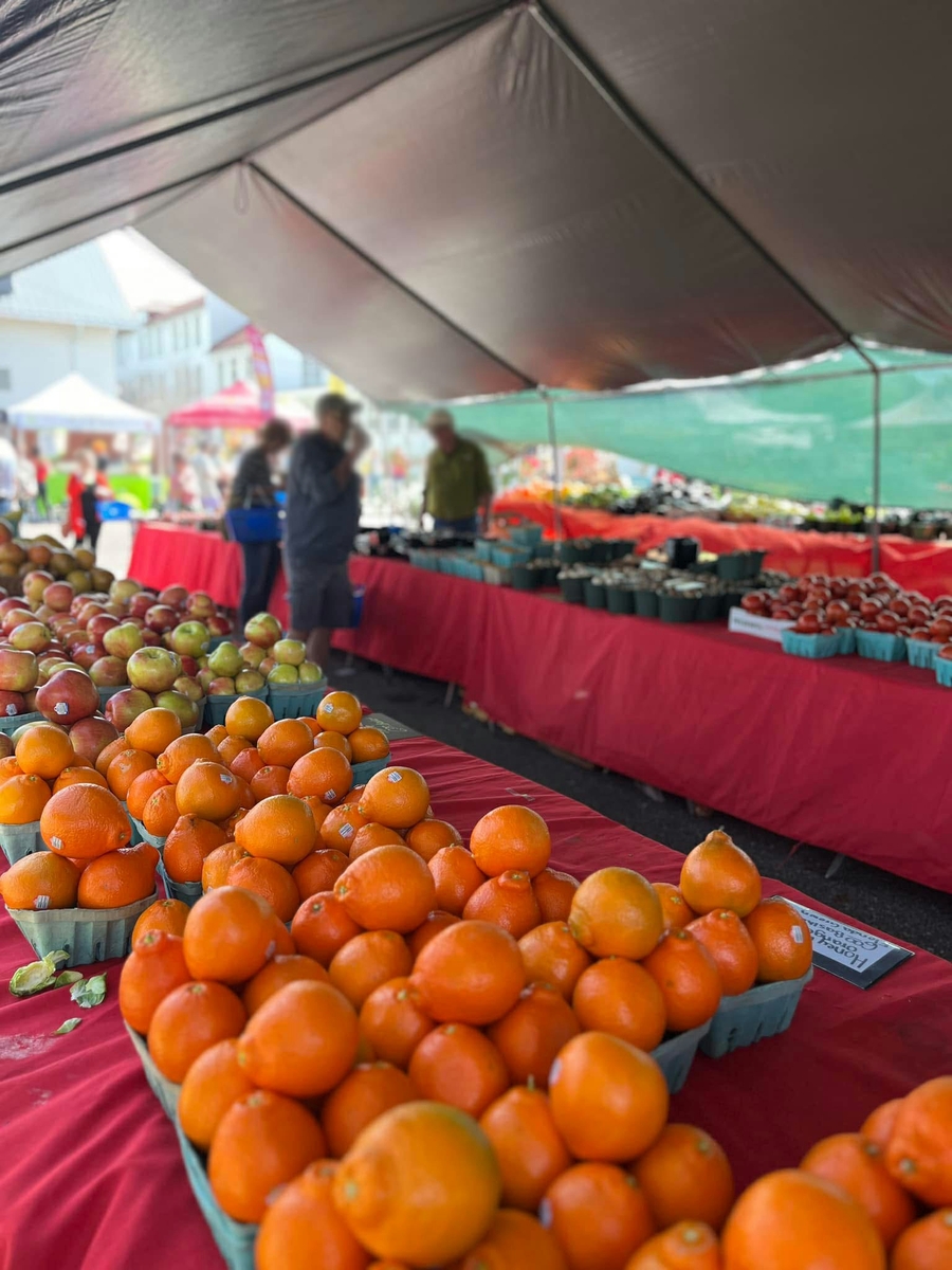 colorful Farmer's Market
