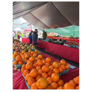 colorful Farmer's Market