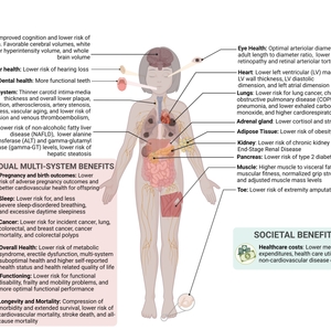 Head to toe benefits of having optimal CVH