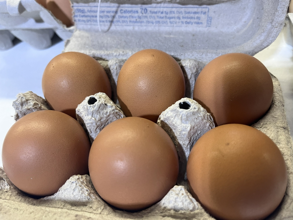 Brown eggs in carton