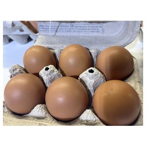 Brown eggs in carton