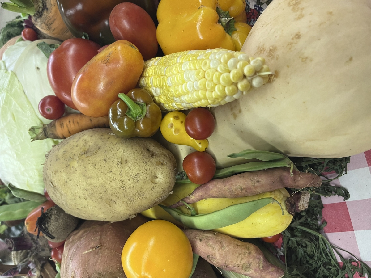 Fresh vegetables