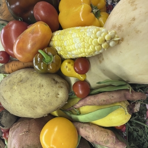 Fresh vegetables