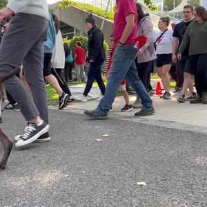 Washington Heart and Stroke Walk participants closer