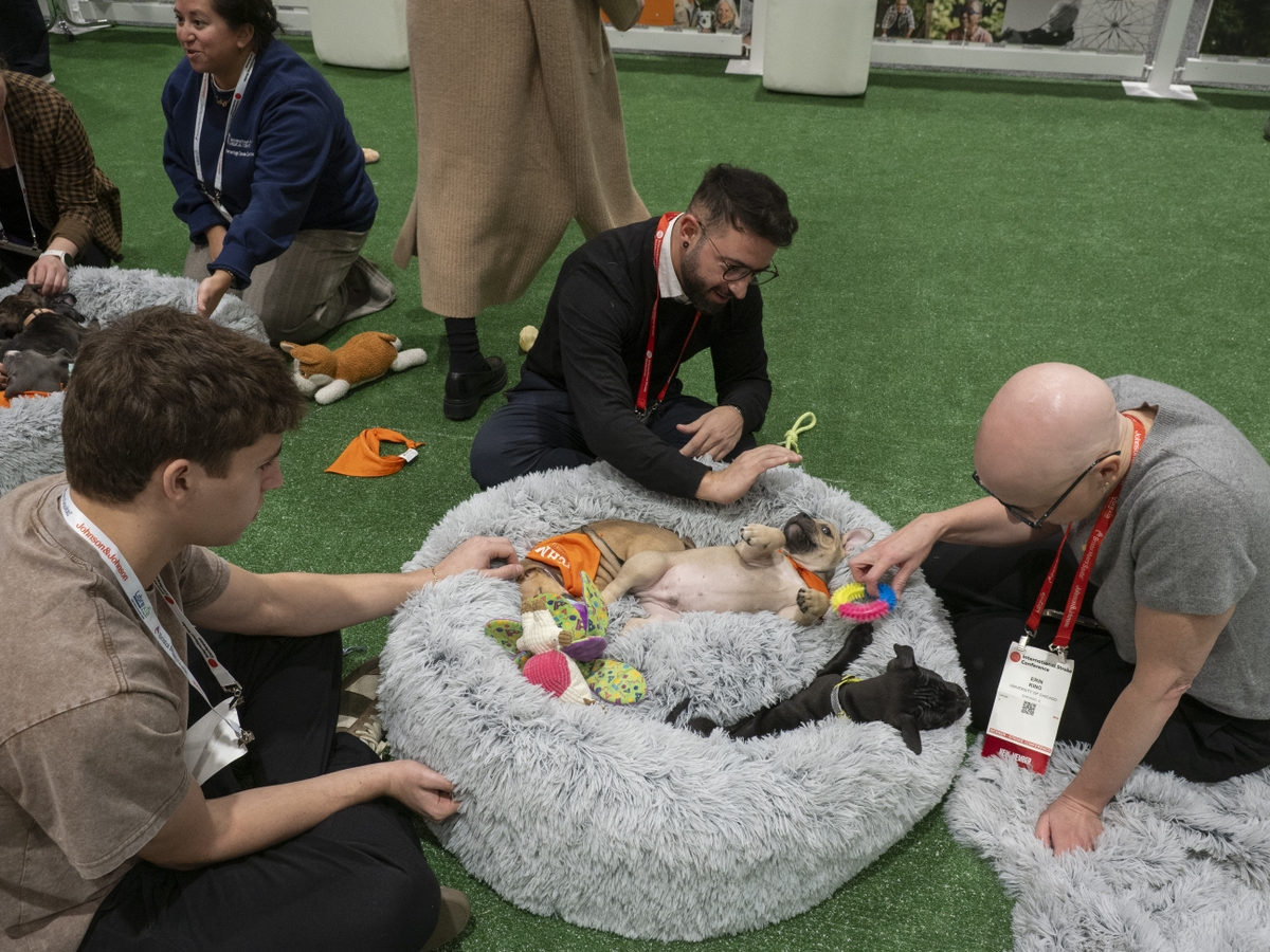 ISC26 attendee in Puppy snuggle zone