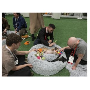 ISC26 attendee in Puppy snuggle zone