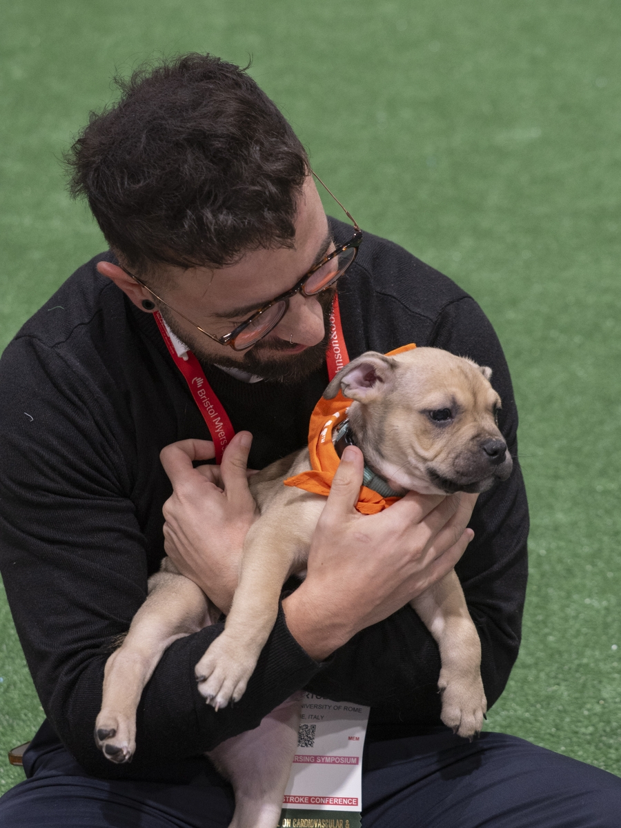 ISC26 Puppy snuggle zone