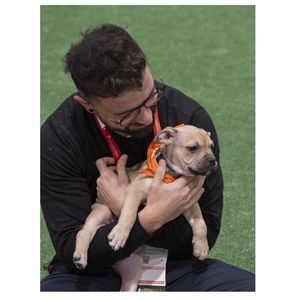 ISC26 Puppy snuggle zone