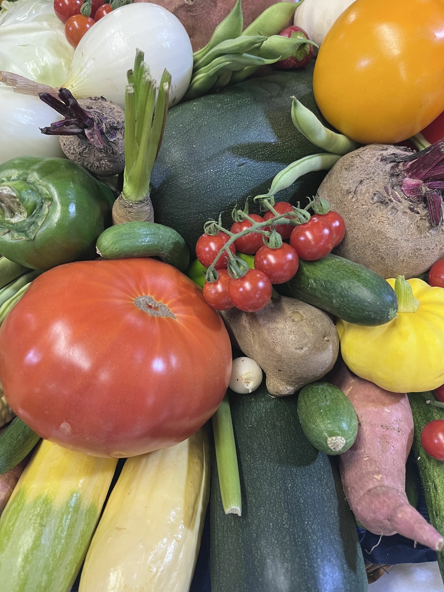 Colorful vegetable assortment