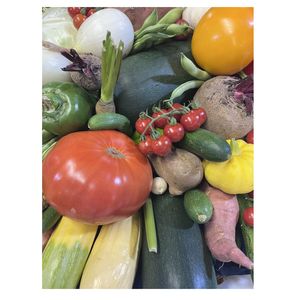 Colorful vegetable assortment