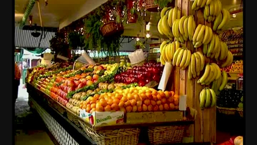 Fruits and Vegetables - WMV