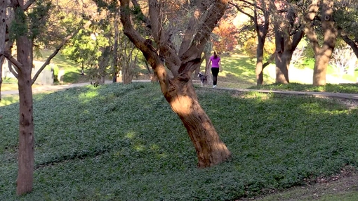 People walking, enjoying nature 