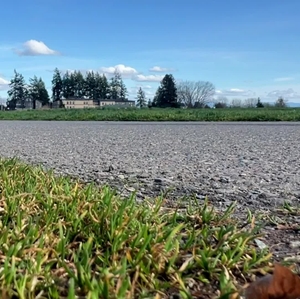 Maple Leaf Reservoir Park in Seattle, Wash. b-roll