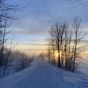 Less movement, more stress: a growing heart health concern in Alaska