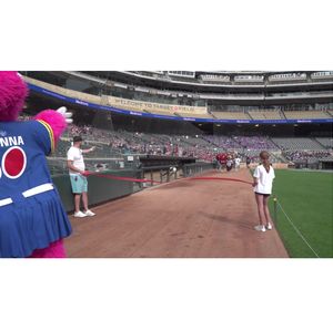 Twin Cities Heart Walk - Mascot Race