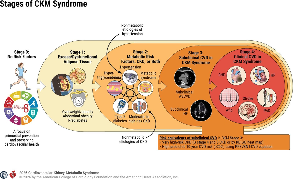 real-world CKM syndrome reversal case study infographic weight loss kidney function improvement