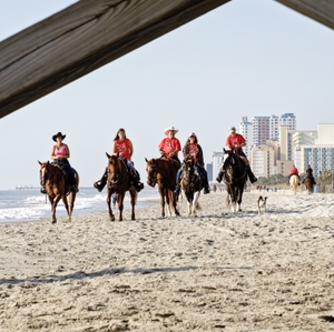 Riders and horses on the beach