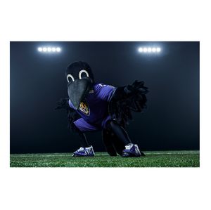 Baltimore Ravens mascot inspires kids to PLAY 60 for better health 