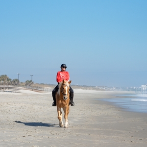 Dawnn Repp rides her horse Freya