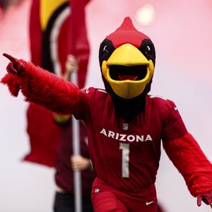 Big Red Arizona Cardinals
