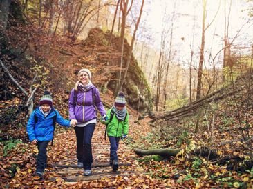 Celebrate the Savings of a Health Savings Account This Holiday Season Celebrate the Savings of a Health Savings Account This Holiday Season