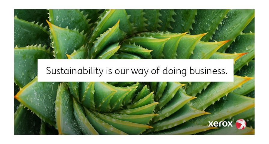 Sustainability Sustainability