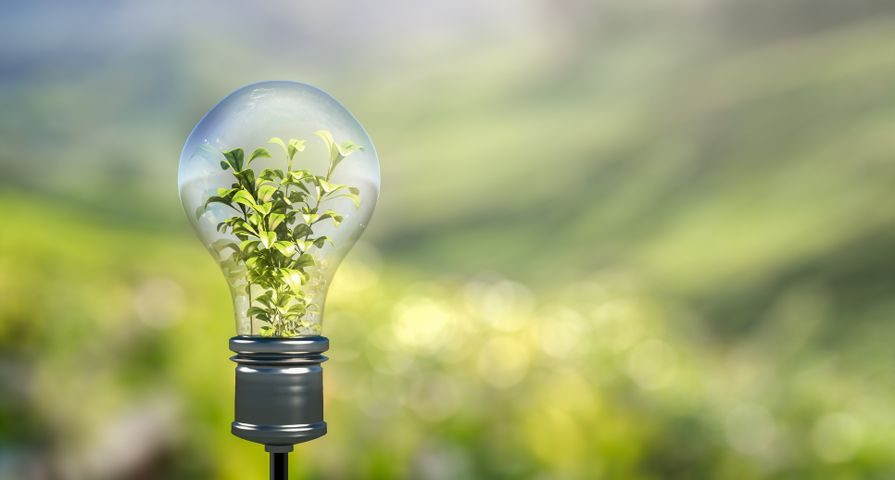 iStock-826669540