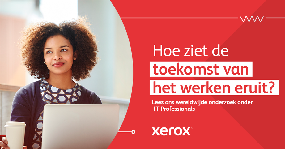 NL Survey_IT